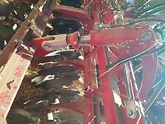 Horsch Joker 5 ct