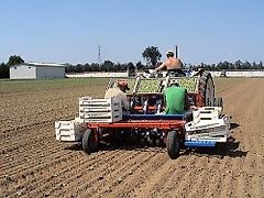 Ferrari F ; MOD. F ; FERARRI ; ( Sofort lieferbar)