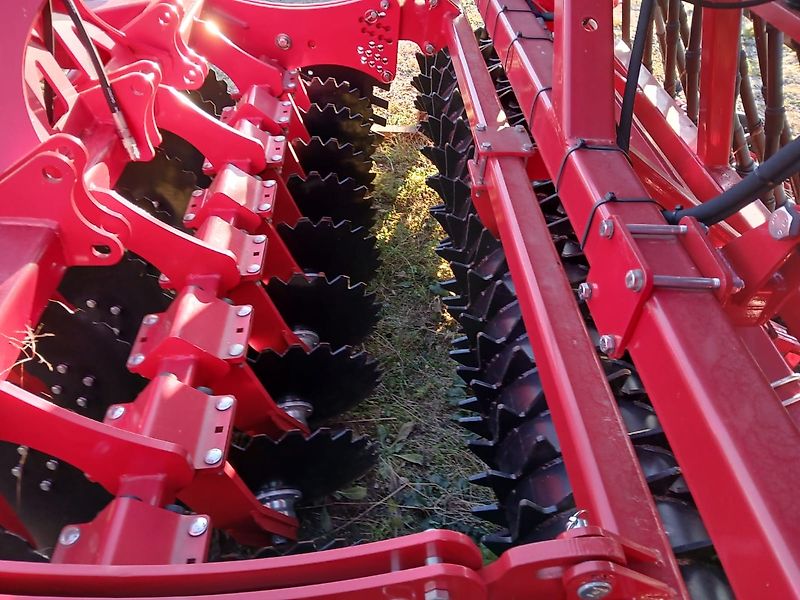 Krukowiak DUO ALFA 3.0 U28