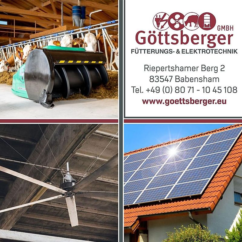 Jolywood 390 W Bifazial Glas/Glas PV Modul Photovoltaik