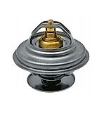 Fendt THERMOSTAT FENDT 309C F119200050040