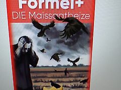 Krone Krone Bodenfräse RES 120/305 Fräse Krone mit 450mm Rohrstabwalze Frässmesser 100% 72 Winkelmesser Krone FRäse mit Schaltgetriebe 3 Fach keine Maschio Kuhn Celli