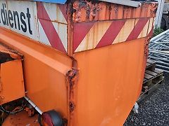 Gemeiner Salzstreuer