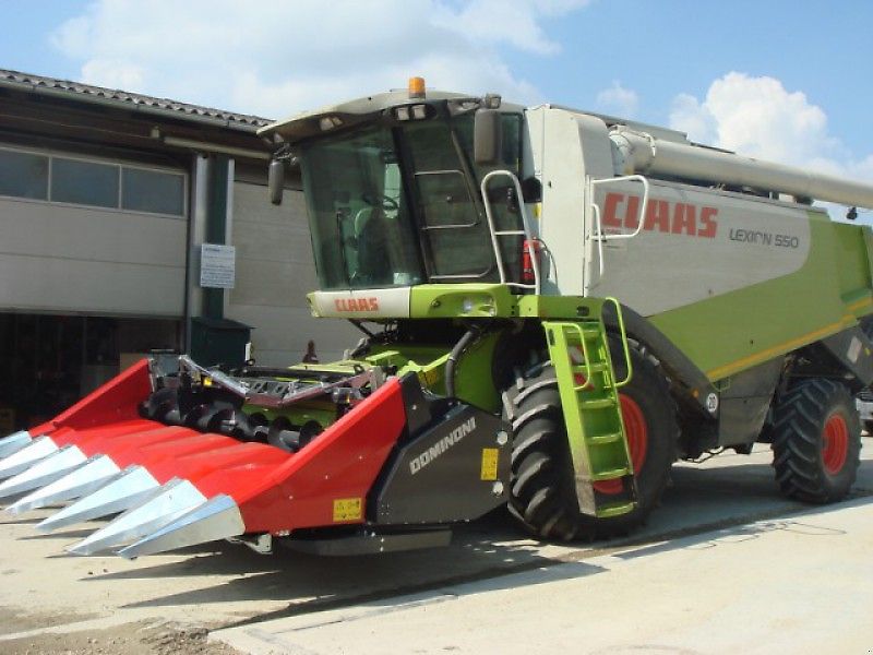 Dominoni SL 976 BG Magnum