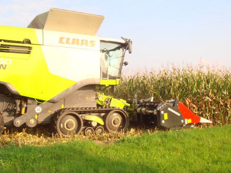 Dominoni SL 976 BG Magnum