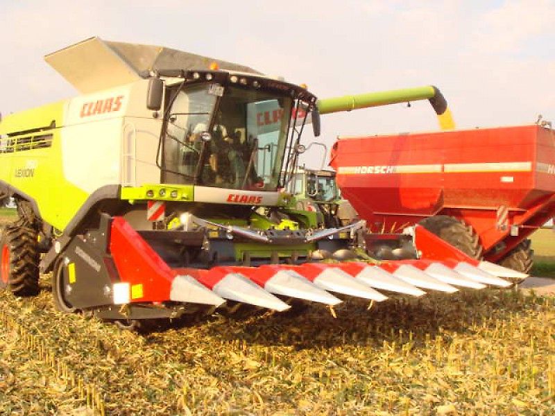 Dominoni SL 976 BG Magnum