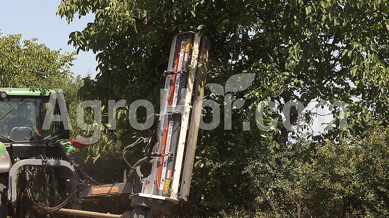 Aardenburg Beta XL 2400-2600 Grizzly / Böschungsmulcher 240-260 cm